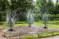 Sapins fontaines d'eau, Palais de Peterhof, Saint-Pétersbourg, Russie. Patrimoine mondial de l'UNESCO.