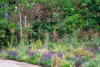 Salvia, Lavandula, Pennisetum vilosum, Allium et Miscanthus sinensis 'Zebrinus' - Matière à réflexion, RHS Tatton Park Flower Show 2018