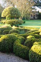 Jardin de noeuds de boîte et teucrium avec houx panachés standard coupés, Ilex x altaclerensis 'Golden King', Barnsley House, Cirencester, Royaume-Uni