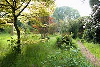 Les sentiers mènent entre une grande variété d'arbres et d'arbustes matures, y compris des spécimens à feuilles caduques et à feuilles persistantes, à travers une longue herbe parsemée de fleurs et de bulbes sauvages.