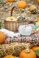 Pique-nique d'automne dans le champ de citrouilles avec carte, boussole, panier et beaucoup de citrouilles