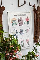 Affiche d'illustrations botaniques vintage accroché au mur avec des outils rouillés et des plantes d'intérieur