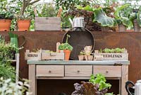 Table de rempotage avec bacs à graines en bois, vieille seive de jardin et pots de légumes - Parrainé par: Pépinières Hillier - RHS Chelsea Flower Show 2018