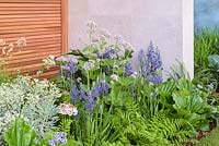 Euphorbia characias subsp. wulfenii 'White Swan', Camassia leichtlinii 'Maybelle', Primula 'Apple Blossom' et fougères - The Morgan Stanley Garden for the NSPCC - Sponsor: Morgan Stanley - RHS Chelsea Flower Show 2018