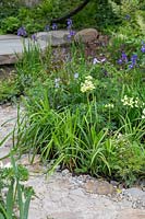 The Wedgwood Garden - Chemin de pierre informel avec plantation mixte, y compris Iris, Géranium - Sponsor: Wedgwood - RHS Chelsea Flower Show 2018