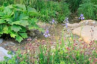 The Wedgwood Garden - Ruisseau et plantation Rodgersia Irish Bronze, Water Avens - Geum rivale, Salvia sp. et Iris sibirica - Sponsor: Wedgwood - RHS Chelsea Flower Show 2018