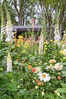 Lupinus, Digitalis et Geum. The LG Eco-City Garden, RHS Chelsea Flower Show, 2018. Sponsor: LG Electronics