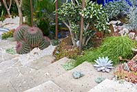 Marches en pierre et gravier avec plantes succulentes, cactus et aquarium - The Pearlfisher Garden - Sponsors: Pearlfisher, Nigel Colclought et Jason de Caires Taylor - RHS Chelsea Flower Show 2018