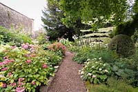 Jardin boisé avec hortensias, Cornus controversa 'Variegata', hostas et fougères.