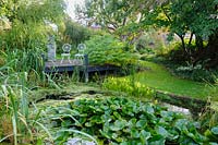 Sièges sur terrasse en bois au-dessus de l'étang avec des nénuphars - Shropshire, Royaume-Uni