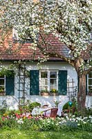 Jardin de cottage avec plantation mixte détendue de bulbes de printemps et pommier à fleurs de printemps