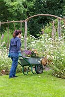 Femme avec brouette dans le jardin avec sélection de plantes prêtes à être plantées.