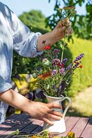 Femme créant un arrangement floral informel dans une cruche avec des fleurs de jardin telles que la lavande, la sauge, l'achillea, la verveine bonariensis etc.