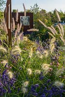 Pennisetum orientale 'Shogun' et Pennisetum villosum avec écrans en acier Lavendula et COR-TEN. 'RNIB Community Garden', RHS Hampton Flower Show 2018