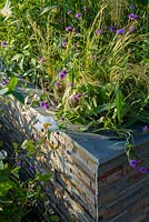 Parterre de fleurs surélevé en placage de pierre avec Stipa, Verveine et Romneya coulteri. 'RNIB Community Garden', RHS Hampton Flower Show 2018.