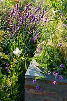 Parterre de fleurs surélevé en placage de pierre avec Agastache 'Black Adder ' et Romneya coulteri '. RNIB Community Garden', RHS Hampton Flower Show 2018.