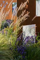 Paravent en acier COR-TEN avec Pennisetum orientale 'Shogun' et Lavendula angustifolia 'Hidcote.' RNIB Community Garden ', RHS Hampton Flower Show 2018.