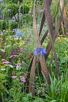 Agapanthe 'Blue Umbrella', Astrantia, Achillea, Salvia autour de Simon Probyn Sculpture. 'Brilliance in Bloom', RHS Hampton Flower Show 2018