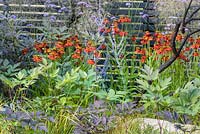 Elements Mystique Garden, parrainé par Elements Garden Design, RHS Hampton Court Flower Show, 2018.