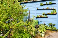 Mégots d'eau et cabanon bleu. «RHS Grow Your Own with The Raymond Blanc Gardening School», RHS Hampton Flower Show, 2018