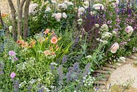 Hemerocallis, Scabiosa, Salvia et Roses. 'Le meilleur des deux mondes', RHS Hampton Flower Show, 2018