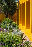 Plantation à sec à côté d'un mur de séparation jaune vif et Arbutus unedo en arrière-plan - Jardin Santa Rita 'Living La Vida 120', RHS Hampton Court Palace Flower Show 2018