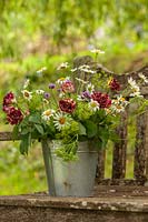 Vase en zinc de Leucanthemum, Bupleurum et roses Arlequin sur banc de jardin
