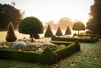 Vue des parterres de Buxus et des pyramides Taxus coupées à l'aube.