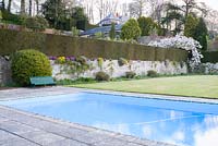 Vue sur la piscine jusqu'aux murs de la terrasse avec couverture et Prunus 'Taihaku' - cerise blanche