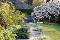 Chemin formel et pelouse adoucie par la plantation de parterres de fleurs mixtes, Brunnera et Prunus 'Taihaku' - grande cerise blanche
