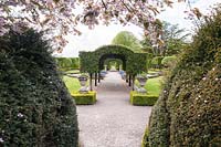 Le jardin d'été avec arcade centrale de laurier portugais, encadré par Taxus baccata - ifs - haies. Holker Hall, Grange over Sands, Cumbria, Royaume-Uni.