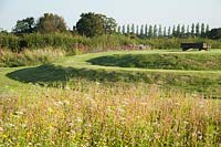 Fleurs de prairie annuelles avec terrassement en spirale. L'Oast House, Isfield, Sussex, UK