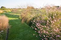 Fleurs de prairie annuelles et terrassement. L'Oast House, Isfield, Sussex, UK