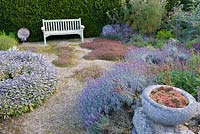 Jardin d'herbes en contrebas avec thymes, sauge, lavande et fenouil. Cidrerie, Buckland Abbey, Yelverton, Devon, UK