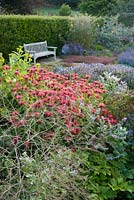 Jardin d'herbes en contrebas avec monardas, Crambe cordifolia et bourrache. Cidrerie, Buckland Abbey, Yelverton, Devon, UK