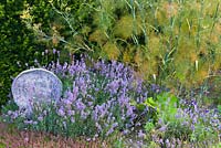 Jardin d'herbes en contrebas avec thym, lavande et fenouil. Cidrerie, Buckland Abbey, Devon, UK