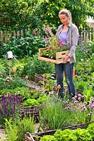Femme avec caisse remplie d'herbes et de fleurs prêtes à être plantées dans le potager