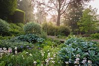 Jardin marécageux plein d'hostas, de primevères, d'iris et de saules à l'ancien presbytère, Netherbury, Royaume-Uni.