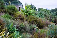 Vue depuis le gazebo sur le jardin sec vers l'entrée du Skyspace de James Turrell, Tewlwolow Kernow, planté de nombreuses plantes à feuillage audacieux, y compris des restios, des palmiers, des bananes et des herbes.