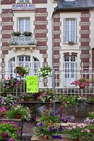 Paniers suspendus à vendre à la foire aux plantes du marché de rue à Beuvron-en-Auge, Normandie, France