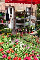Des paniers suspendus et des plantes annuelles à vendre à un marché de plantes juste à Beuvron-en-Auge, Normandie, France.