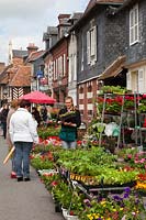 Paniers suspendus et plantes annuelles à vendre à un marché de plantes juste à Beuvron-en-Auge, Normandie, France