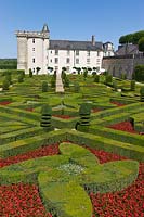 Coupé Buxus sempervirens dans le jardin d'ornement au château de Villandry, vallée de la Loire, France