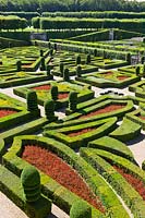 Jardin ornemental avec Buxus sempervirens et Taxus coupés au Château de Villandry, Vallée de la Loire, France