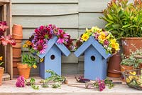 Paire de nichoirs en bois avec des toits ornés de fleurs avec plus de têtes de fleurs coupées sur un banc avec des pots en terre cuite