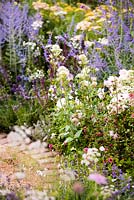 Parterre d'été avec des fleurs de palette pastel douces, y compris, Centranthus ruber 'Albus '- valeriana blanc, Perovskia' Blue Spire '. Meilleur jardin des deux mondes, concepteur Rosemary Coldstream RHS Hampton Court Palace Flower Show 2018