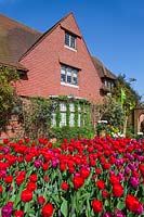 Tulipa 'Red Blend' en face de la maison à East Ruston Old Vicarage Gardens, Norfolk, Royaume-Uni.