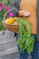 Gros plan de femme tenant un panier en osier de légumes automnaux.