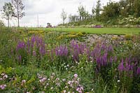 Aménagement paysager et plantation au stade olympique North Park, Stratford, Londres, 2011