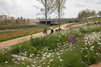 Aménagement paysager naturaliste et plantation au stade olympique North Park, Stratford, Londres, 2011